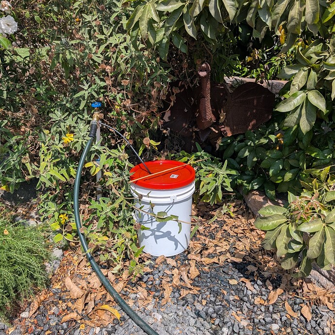 PXL_20250913_192456434