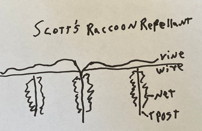 IMG_1029