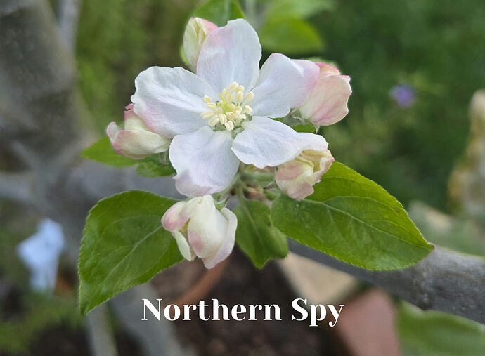 20260408_064807_edit_1775657006278