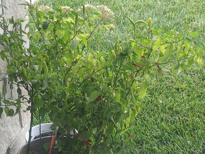 17512110694801931599345874763941