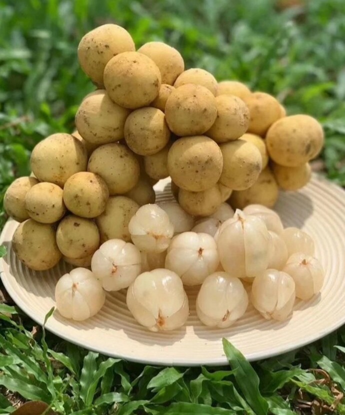 Screenshot_20251216_202535_Facebook