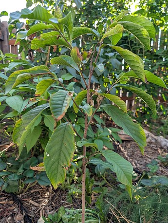 PXL_20250818_011115369