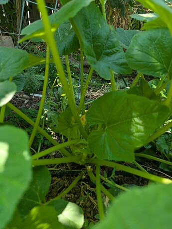 PXL_20250724_213540082