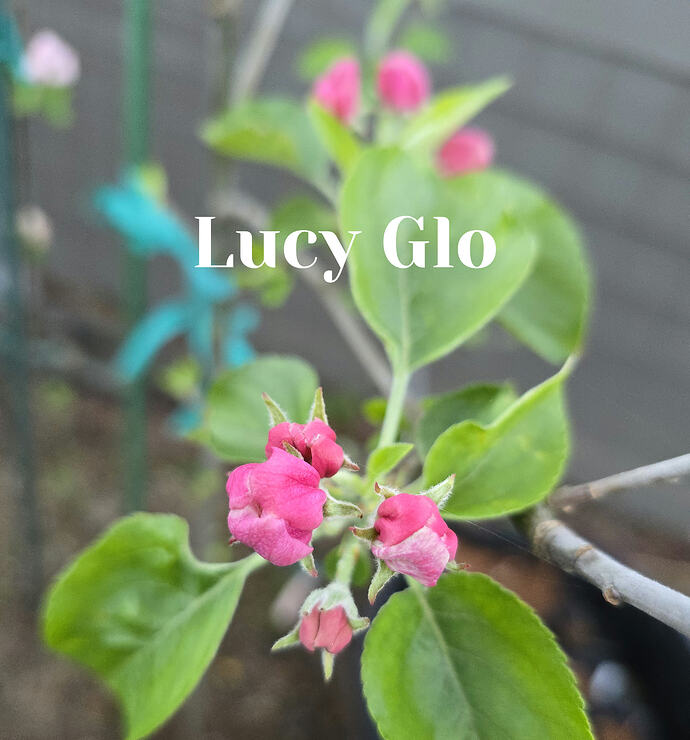 20260408_065409_edit_1775656697041