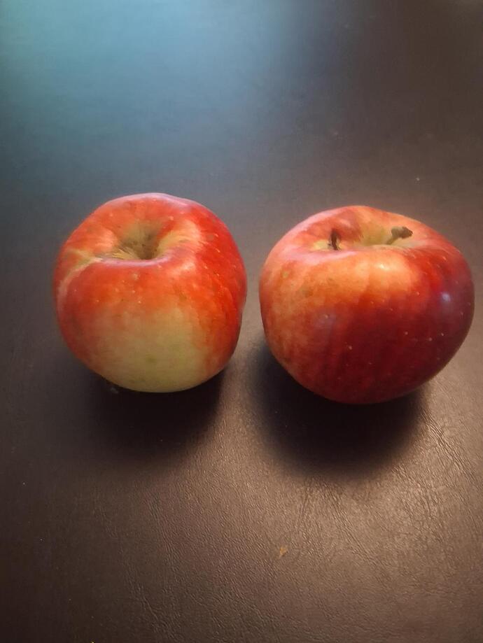 matterns apples