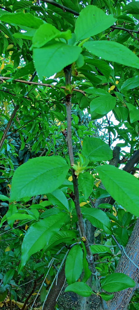 IMG_20260324_1749531