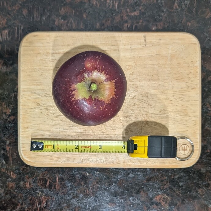 PXL_20251020_011628404