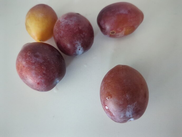 17557337295816718272388944417850