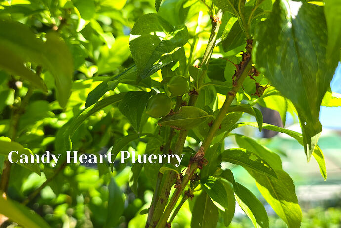 20260426_142852 (2026-04-27T20_12_31.038)