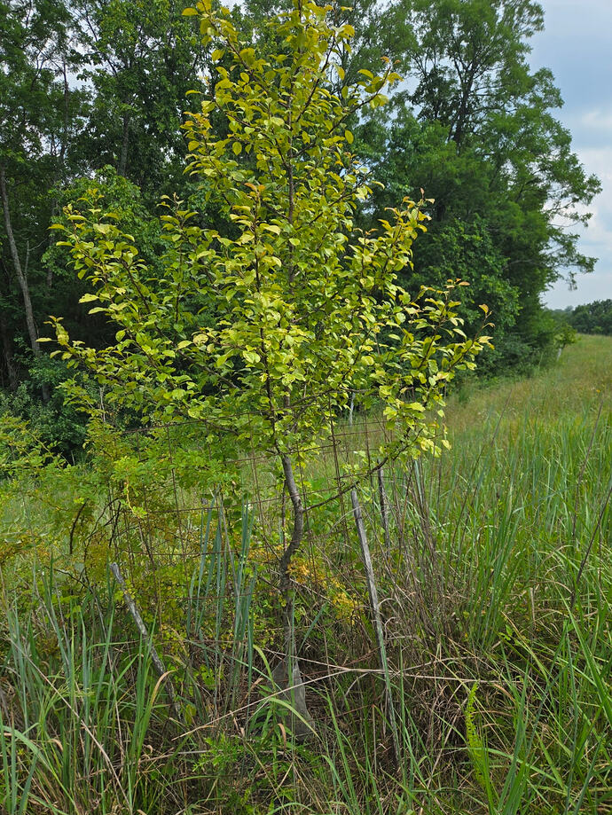 20260719_153030