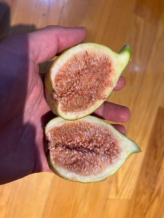 LDA_cut_ph_07-24-2025