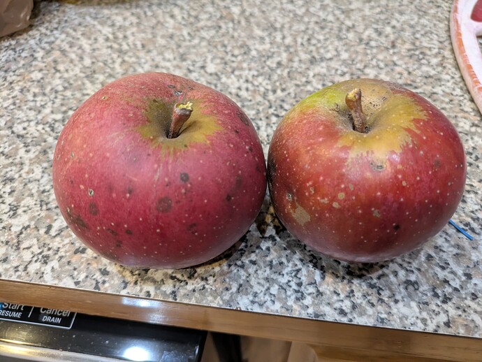 PXL_20251115_234356798