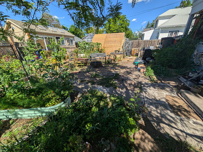 PXL_20260613_225522811