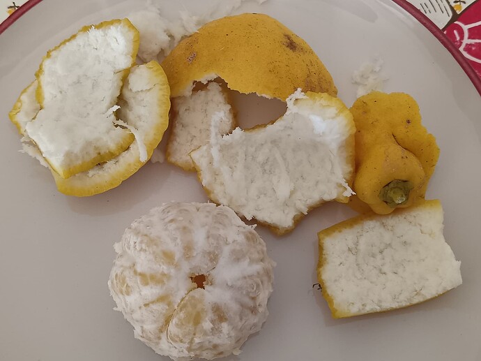 IMG_20251227_110443_edit_459400882726381