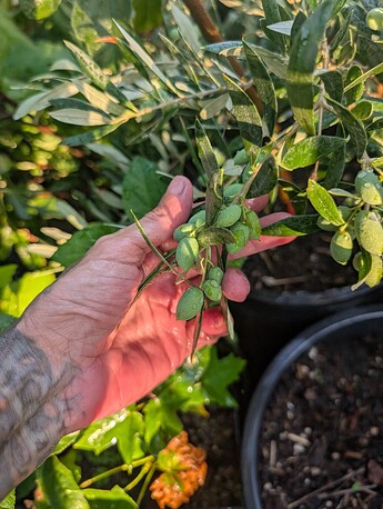 PXL_20250908_003648688