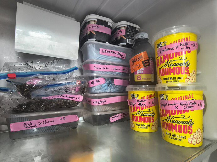 IMG_20260214_135437102_HDR