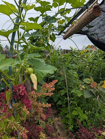 PXL_20250806_174430348