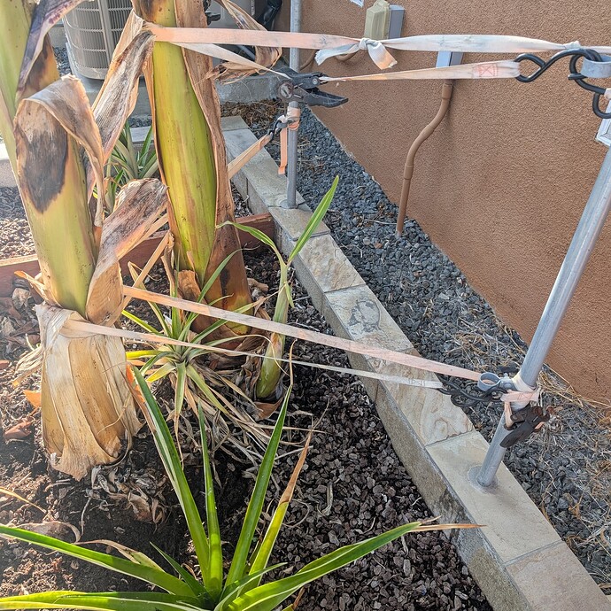 PXL_20250918_234446656