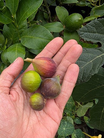 PXL_20250806_195107258