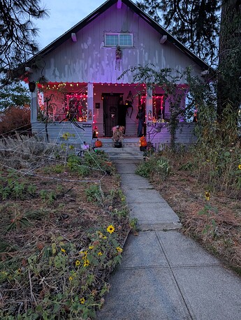 PXL_20251101_004553988