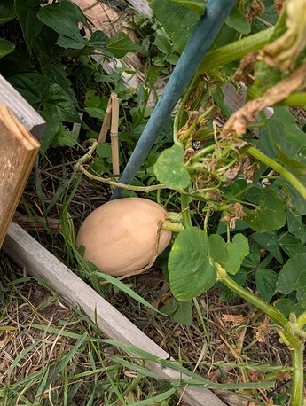 PXL_20250718_232036622