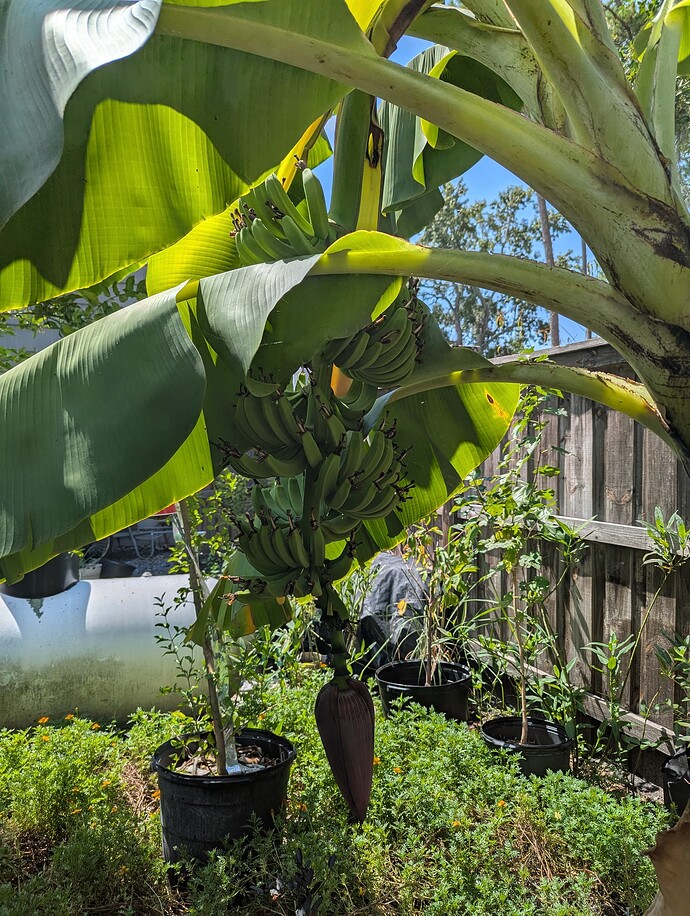 PXL_20250918_181152791