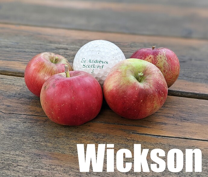 Wickson_2025