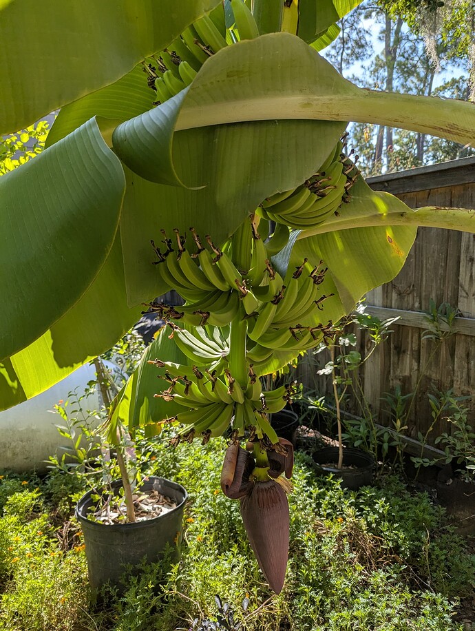 PXL_20250916_202357542