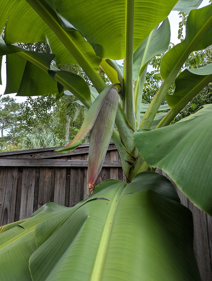 PXL_20250901_205355113