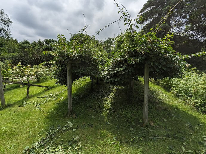 PXL_20250615_152134116