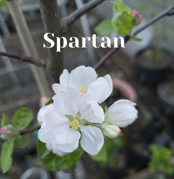 20260408_064340_edit_1775657093952