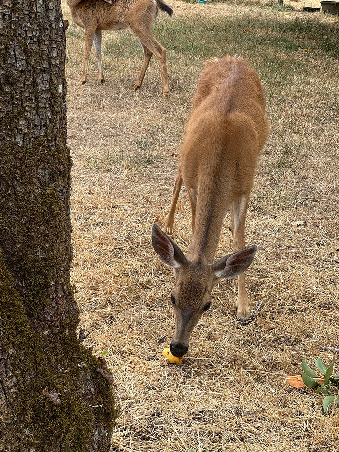 IMG_6108