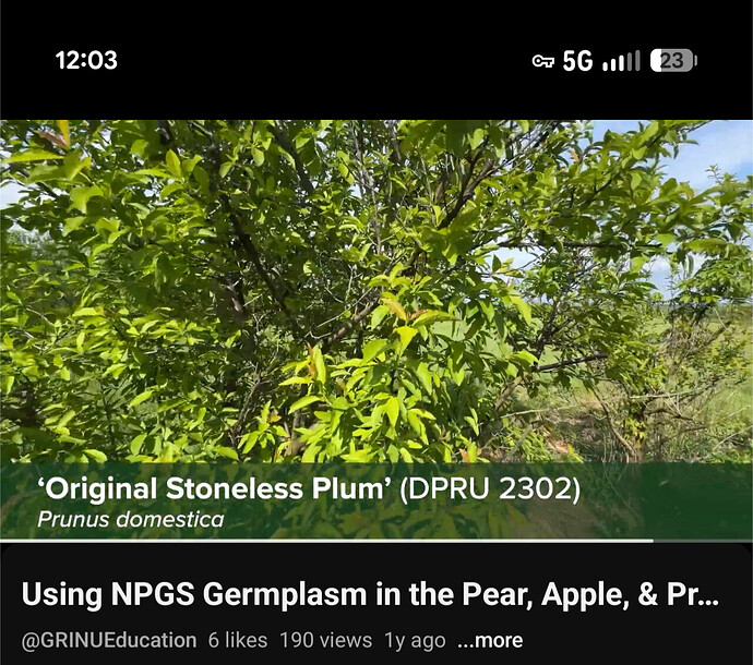 Screenshot_20260702-000304