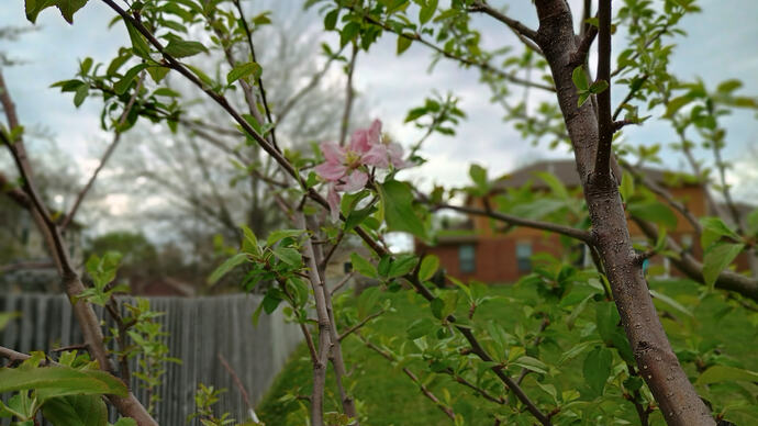 IMG_20260410_170626064_HDR_PORTRAIT
