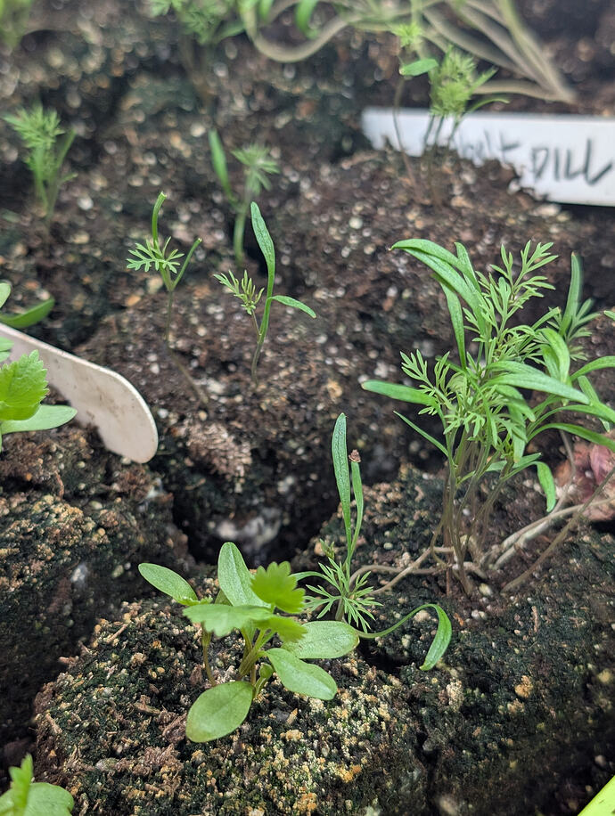 PXL_20260227_005235633