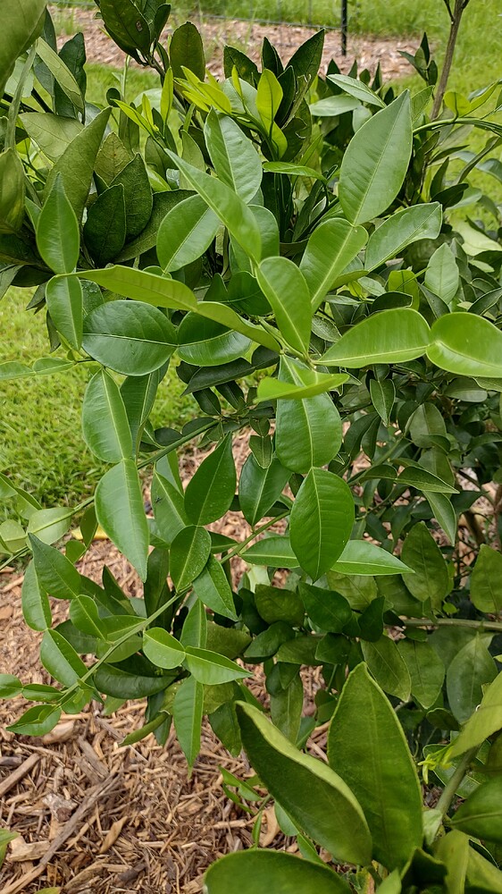 IMG_20250702_120037473_HDR