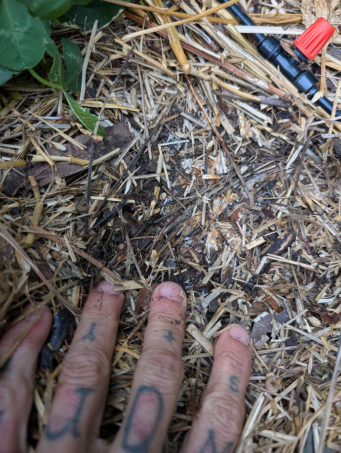 PXL_20260626_204558762