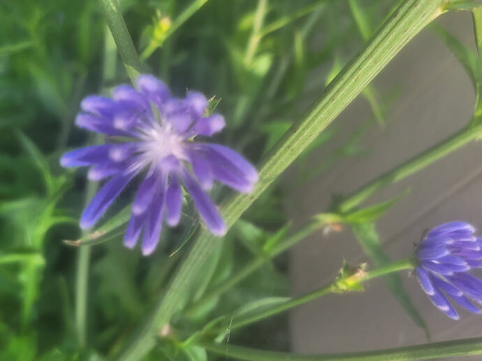 20260606_073530