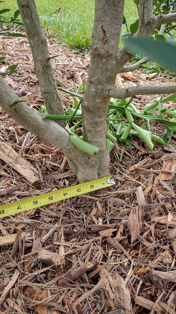 IMG_20250707_102558948_HDR