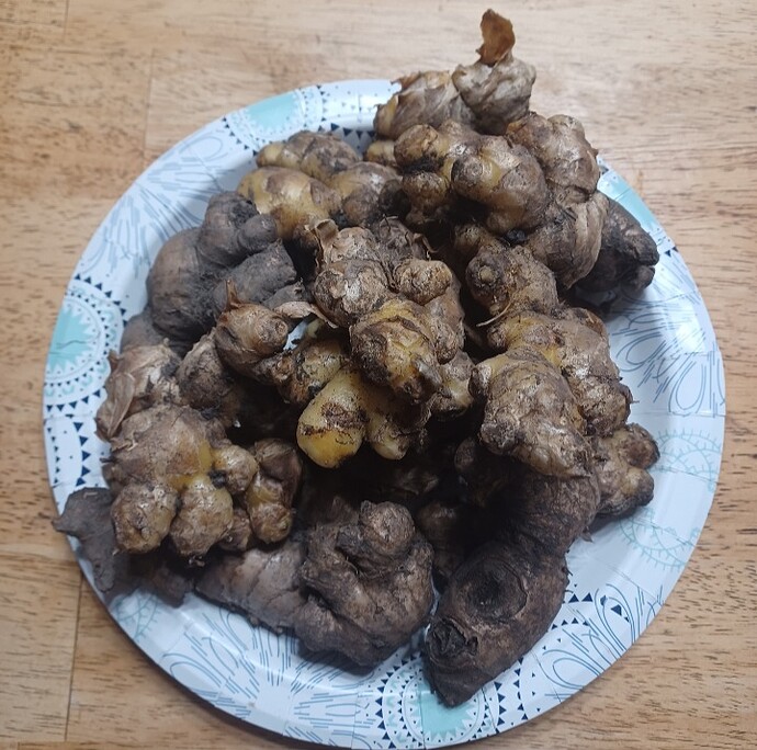 Screenshot_20251121_103724_Gallery