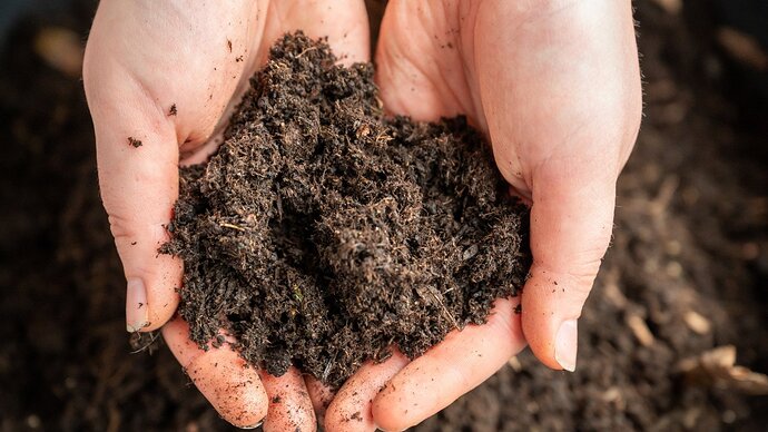 A woman’s hands gently hold a small pile of dark, crumbly soil with fine texture.