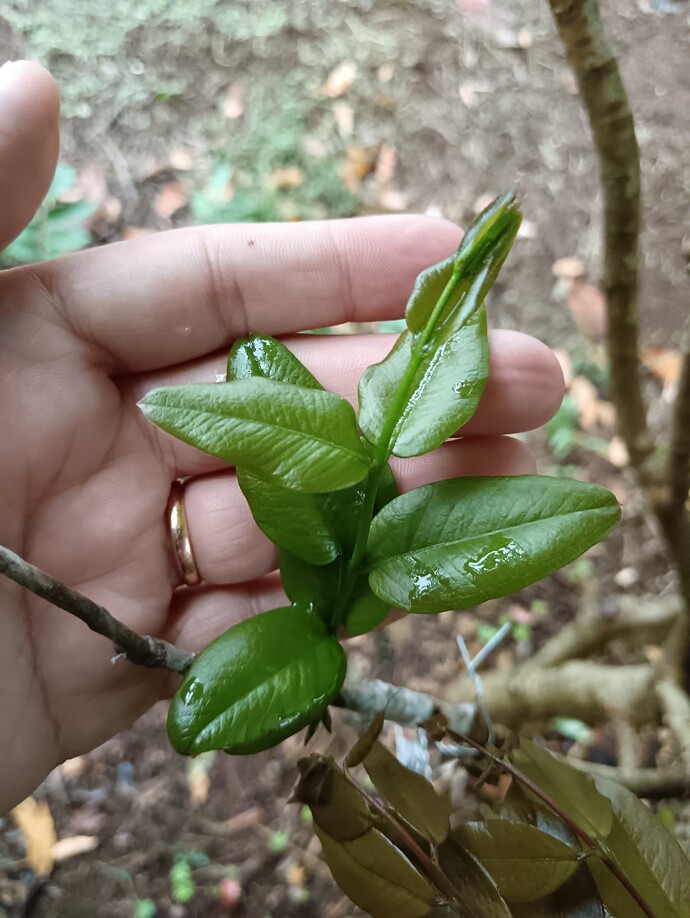 IMG_20251022_103541_edit_236656159713490