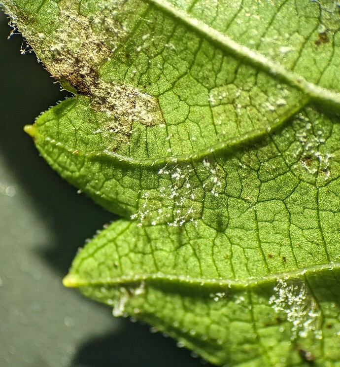 PXL_20251128_183906909