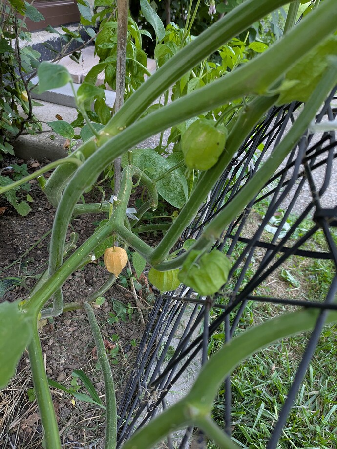 PXL_20250724_233020085