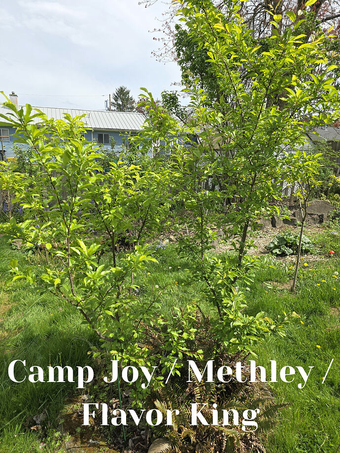 20260410_141751_edit_1775857905044-1