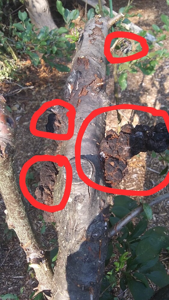 20250905_161843-EDIT