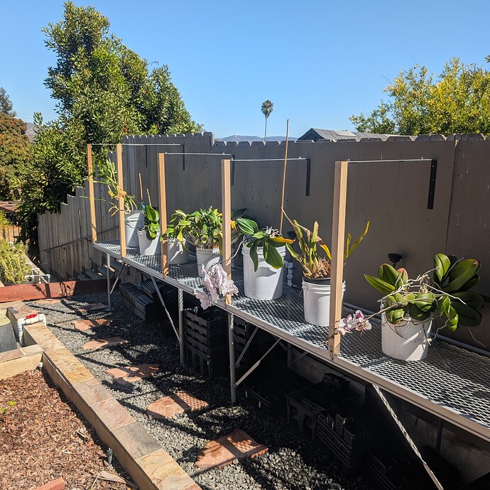 PXL_20250908_220530679