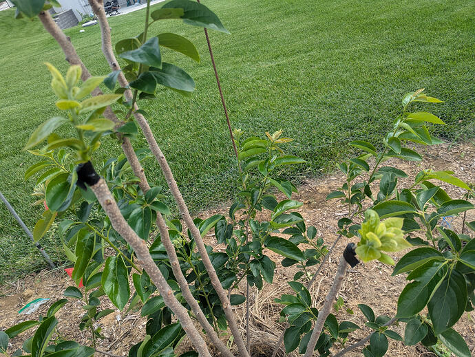 PXL_20260602_230204891