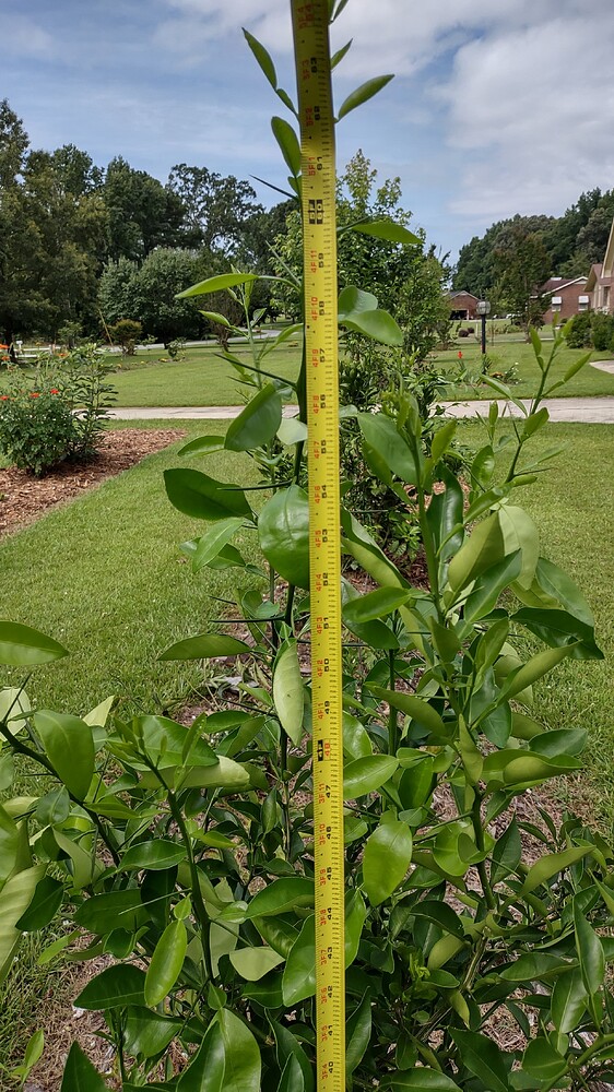 IMG_20250707_102518356_HDR