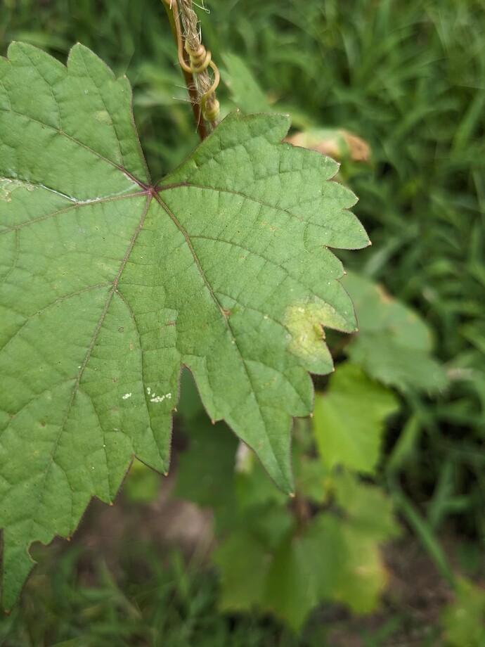 PXL_20250726_210150612